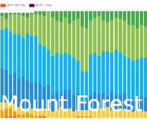 Mount Forest SEO