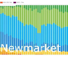 Newmarket SEO