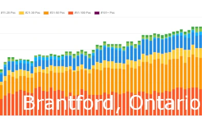 Brantford SEO Services