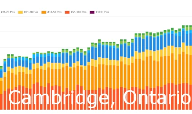 Cambridge SEO Services