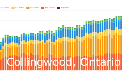 Collingwood SEO Services