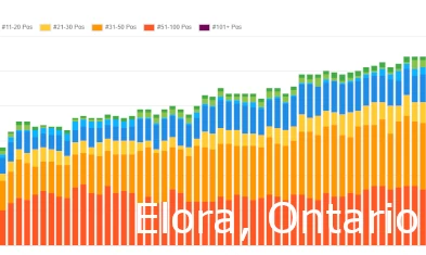 Elora SEO Services