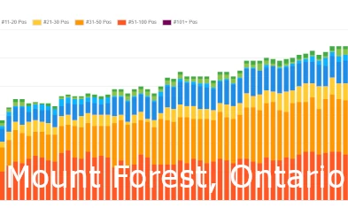 Mount Forest SEO Services