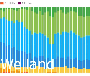 Welland SEO